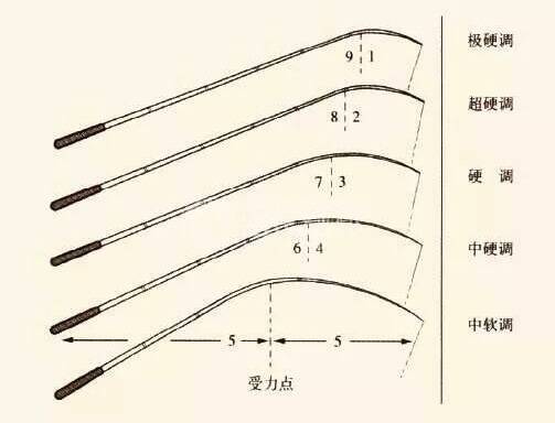 深度解析鱼竿调性，理解其含义与应用